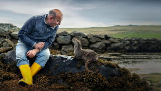 Billy & Molly: An Otter Love Story Trailer