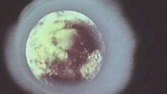 Biosphere! Time to Apprehend Trailer