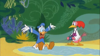 Bird Brained Donald Trailer