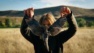 Bird Dog Trailer