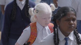 Bird of a Different Feather Trailer