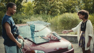 Bird of Paradise Trailer