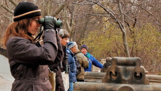 Birders: The Central Park Effect Trailer