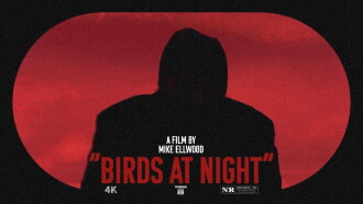 Birds at Night Trailer