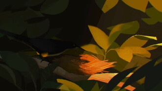 Birdsong Trailer