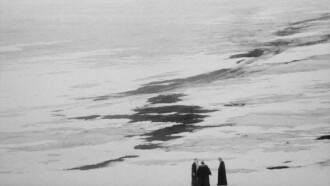 Birdsong Trailer