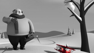 Birdstrike Trailer