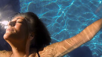 Birdwatching Trailer