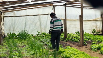 Bitcoins: Liberating Organic Farmers Trailer