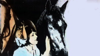 Black Beauty Trailer