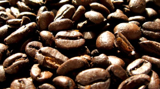 Black Coffee Trailer