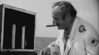 Black Gull Trailer