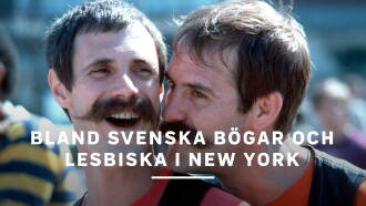 Bland svenska bögar och lesbiska i New York Trailer