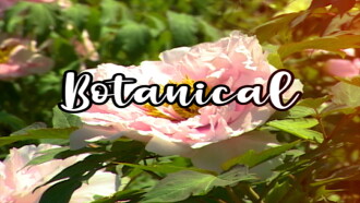Bloom Skateboards Presents Botanical Trailer