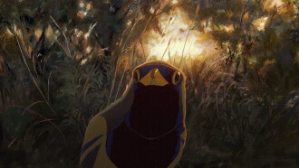 Bluebird in the Wind Trailer