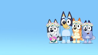 Bluey: Asparagus and Other Stories Trailer
