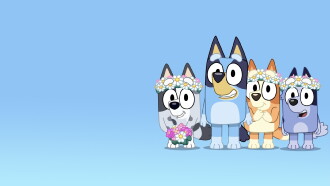 Bluey: Cricket and Other Stories Trailer