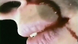 Blutclip Trailer