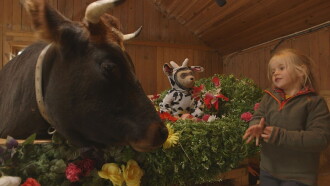 Bo Bear on the Farm Trailer