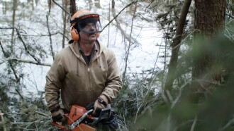 Bob and the Trees Trailer