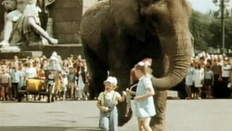 Boba and the Elephant Trailer