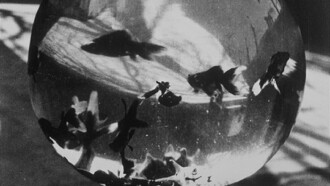 Bocal aux poissons rouges Trailer