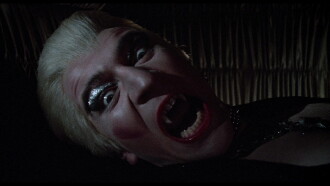 Body Double Trailer