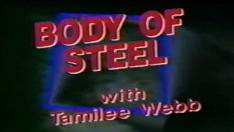 Body of Steel Trailer