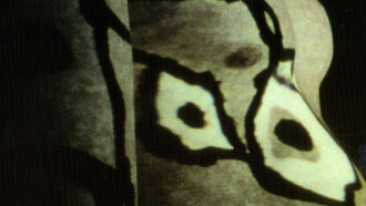 Body Projections Trailer