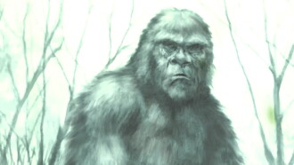 Boggy Creek Monster Trailer