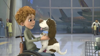 Bollywoof Trailer