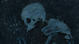 Bones Trailer