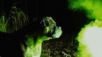 Bonkey: The Mutated Trailer