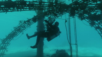 Bora Bora, le laboratoire du futur Trailer