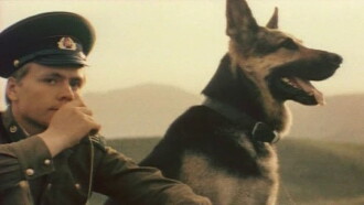 Border Dog Scarlet Trailer