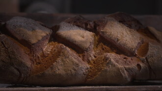 Boulanger, L'art du pain Trailer