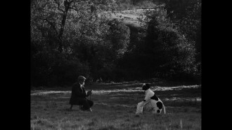 Bovine Comedy Trailer