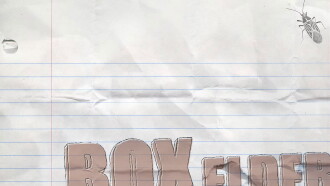 Box Elder Trailer