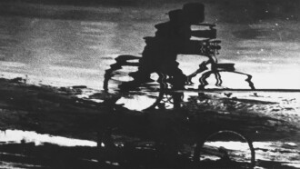 Boy and Bicycle Trailer