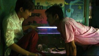 Boy Trailer