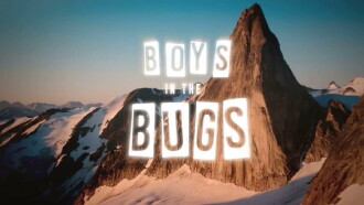 Boys In The Bugs Trailer