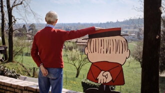 Bozzetto non troppo Trailer