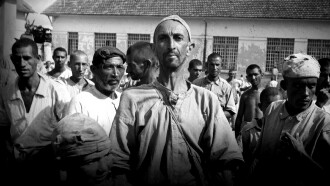 Brazilian Holocaust Trailer