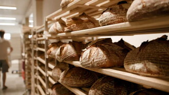 Bread: An Everyday Miracle Trailer