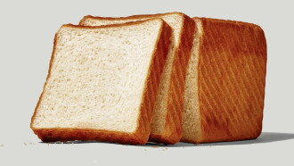 BREAD Trailer