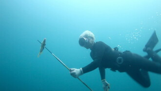 Breathing Underwater Trailer