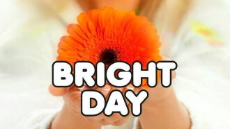Bright Day Trailer
