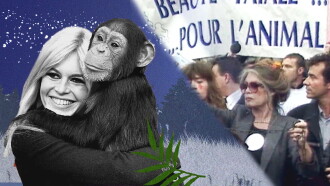 Brigitte Bardot, rebel with a cause Trailer
