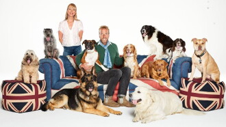 Britain's Favourite Dogs: Top 100 Trailer