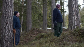 Brødrene i skogen Trailer
